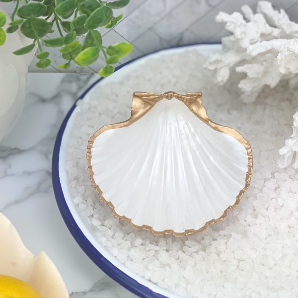 scallop shell trinket dish