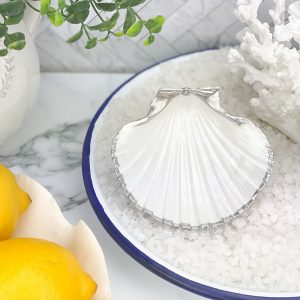 Scallop shell trinket dish